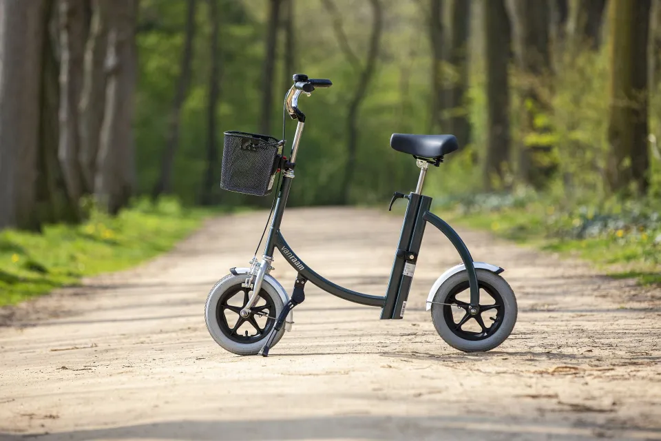 Van Raam Loophulp City