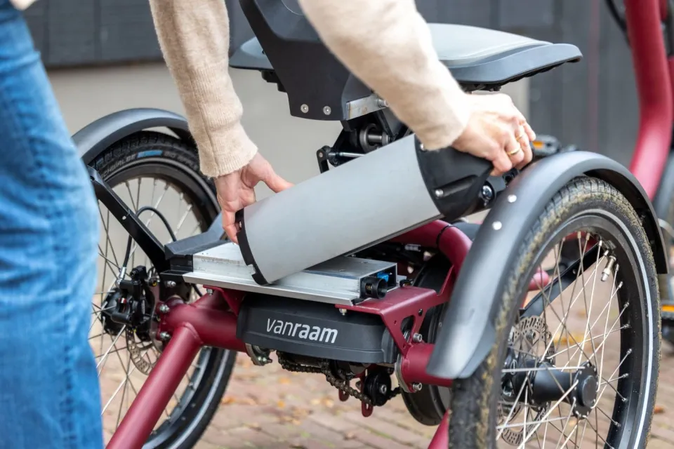 Driewieler fiets Easy Rider Compact 10