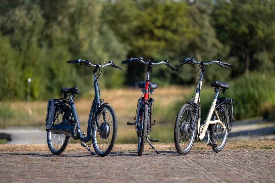 Van Raam Balance Lage instap fiets 4