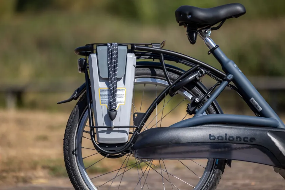 Van Raam Balance Lage instap fiets 6