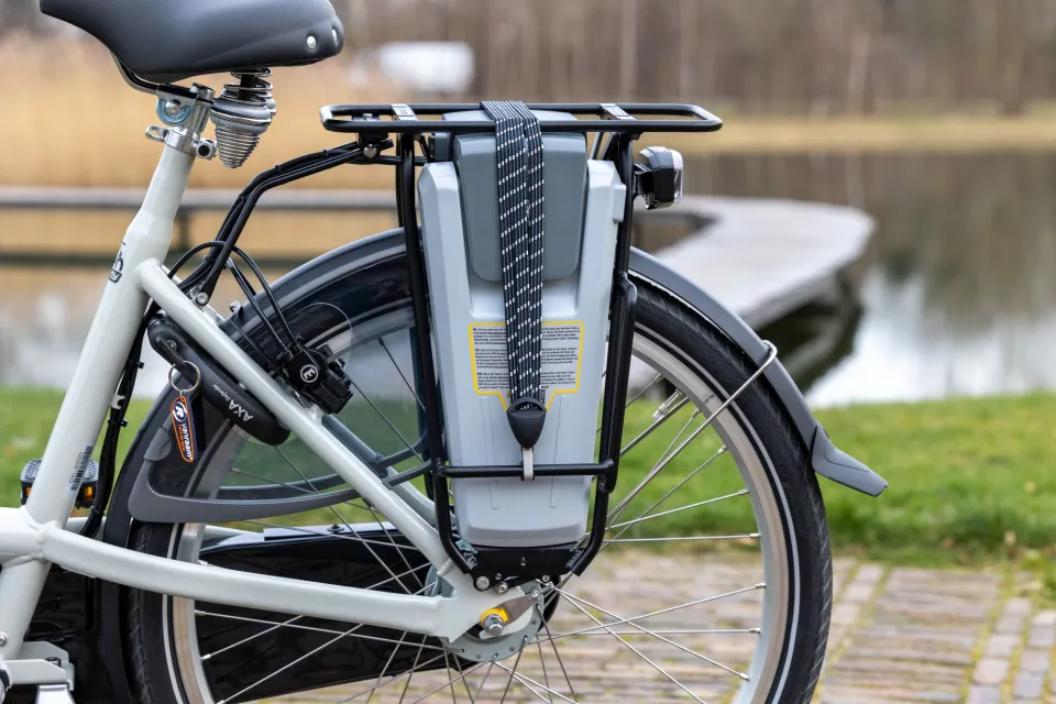 Twinny tandem 11