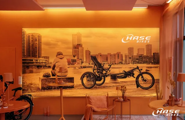 Hase Bikes