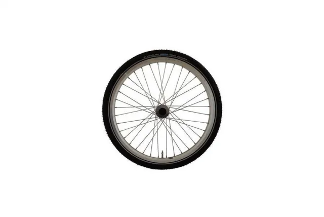Achterwiel Easy Rider 2 rechts