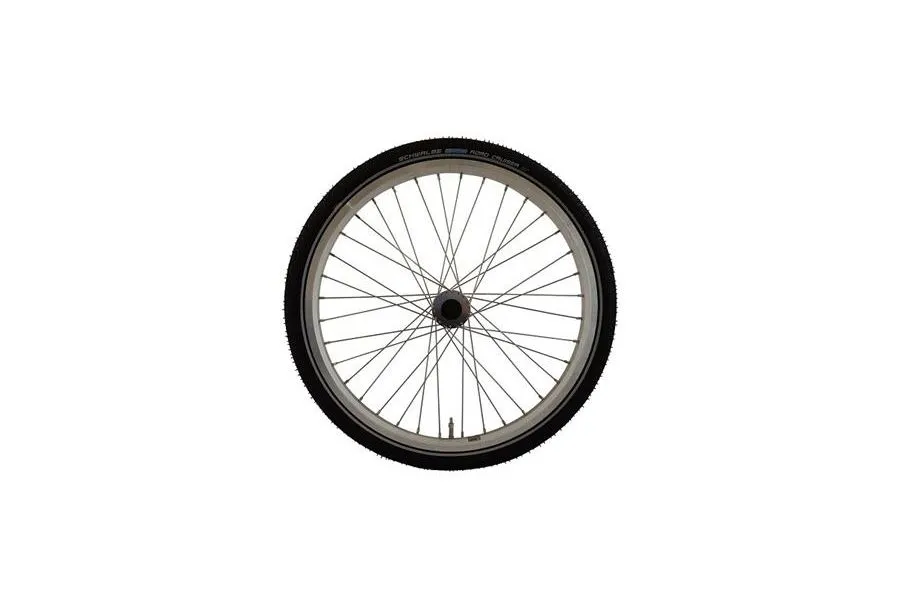 Achterwiel Easy Rider 2 (links)